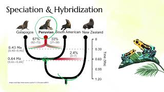IB Biology Topic A3.1 Diversity of organisms - AHL