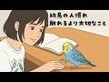 【幼鳥の人慣れ】触れることより大切な信頼づくり（EP.192）