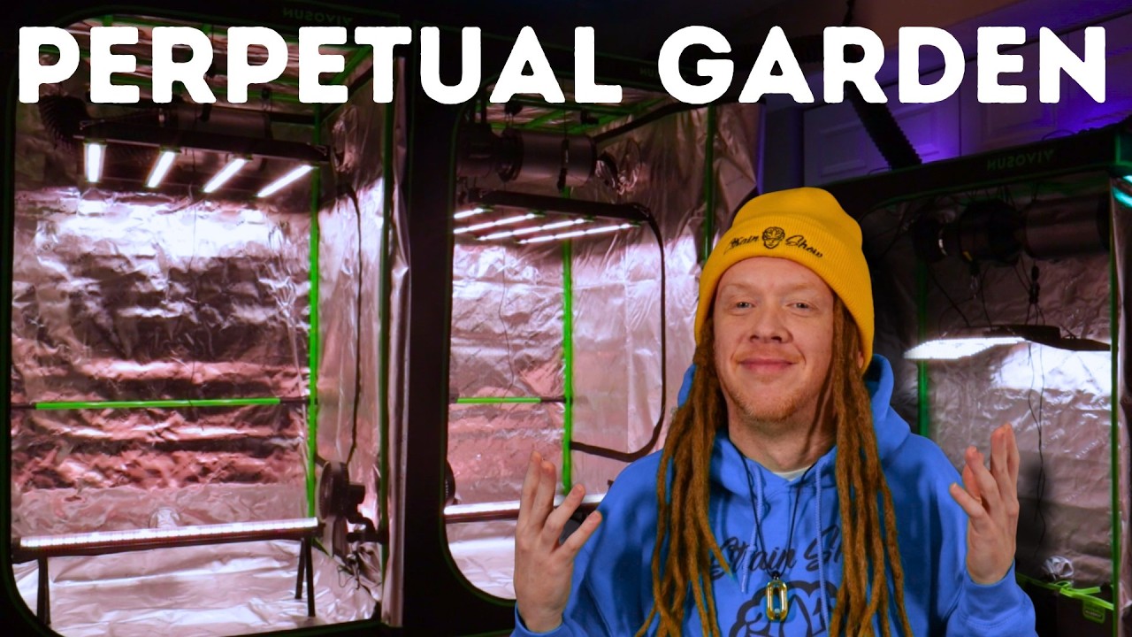 I Finally Built The PERFECT Room!