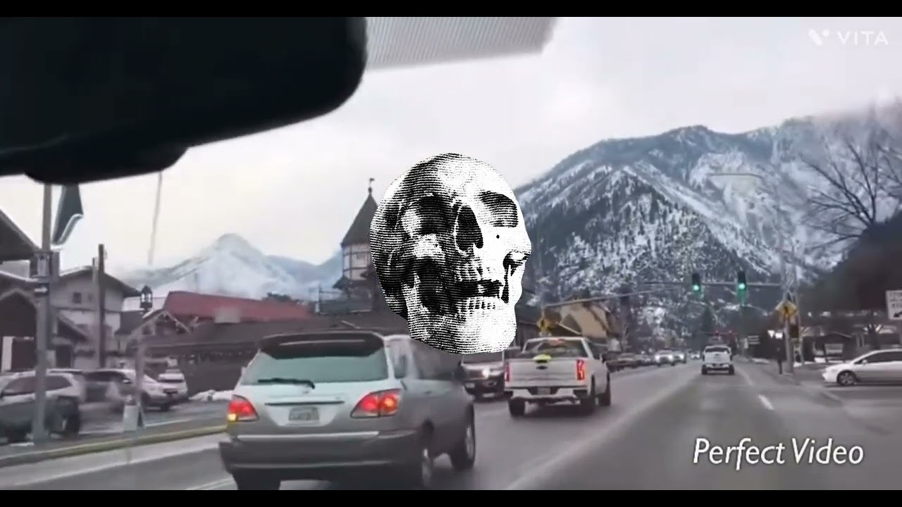 HGX plays video games, Helly's 30-Minute Chat Timer: The Ultimate Pussy Move.🍔😜 memo the dog 