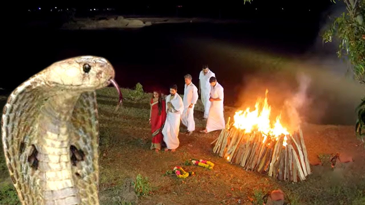 नागकन्या | Naag kanya | नागो की रक्षक छोटी नागिन की चमत्कारी कहानी 