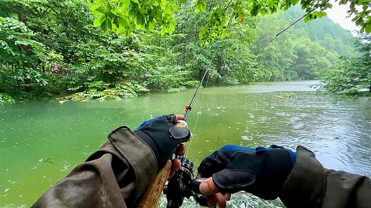 【ダム湖】貯水率120%のインレットをネチネチ攻めると...