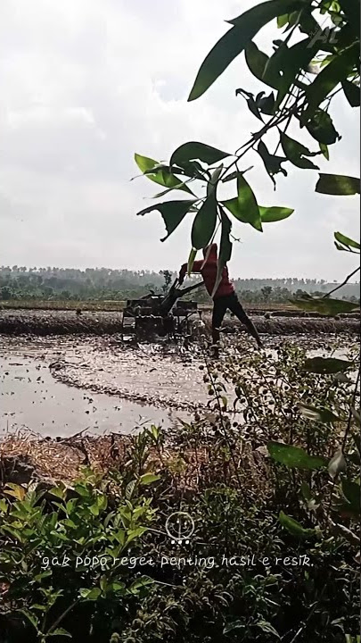 story wa traktor ngawi