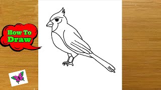 How to Draw a Cardinal | Cardinal Bird Drawing