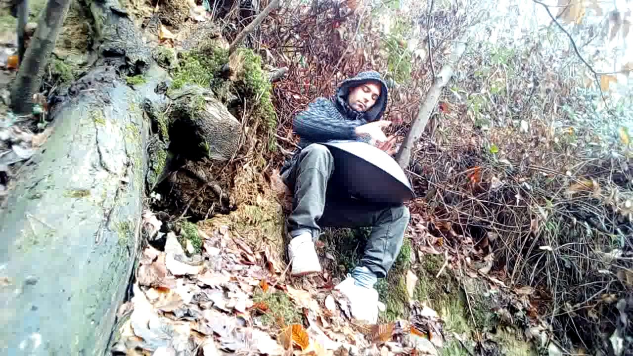 Disco armonico pantam handpan improvvisando natura libera