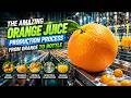 How Orange Juice Is Made in Massive Factories