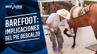 Barefoot: implicaciones del pie descalzo