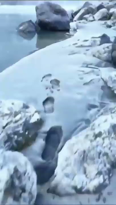 Namo Namo Shankara (Kedarnath) -whatsapp status video - aesthetic status - ❤️Har Har Mahadev