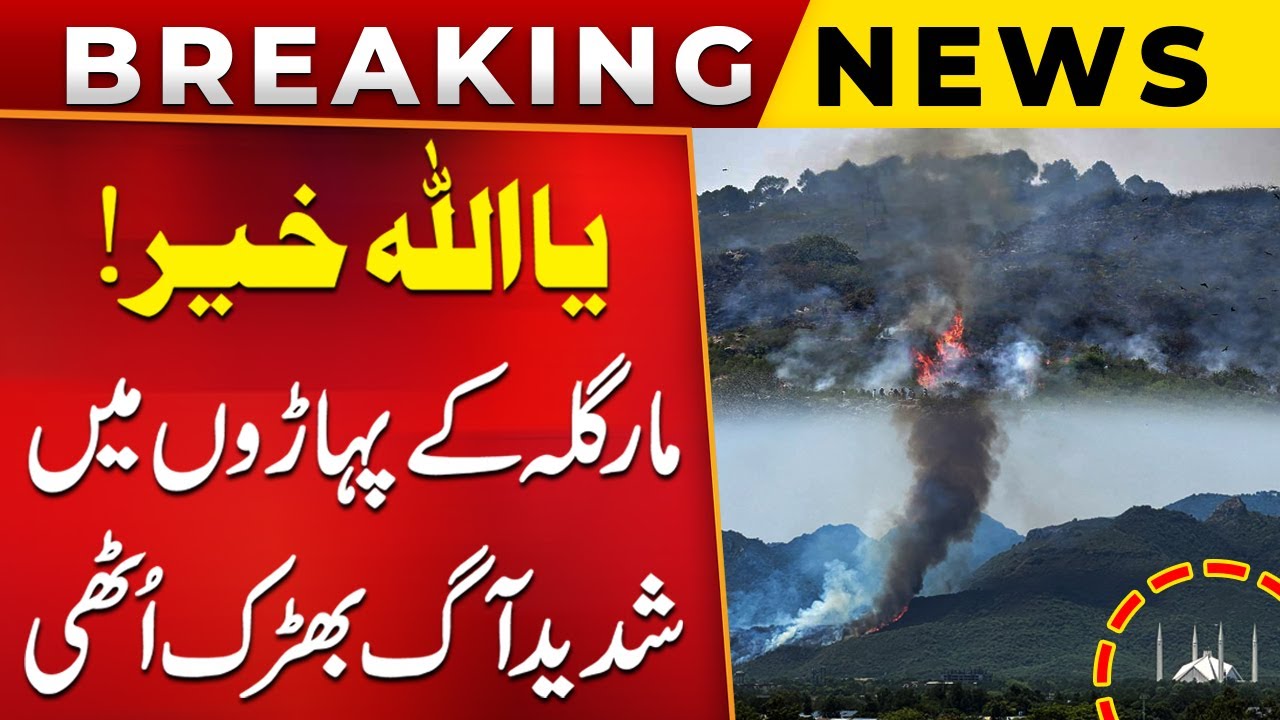 Islamabad: Fire in Margalla hills | Fire Breaks Out in The Margalla Hills | BREAKING NEWS