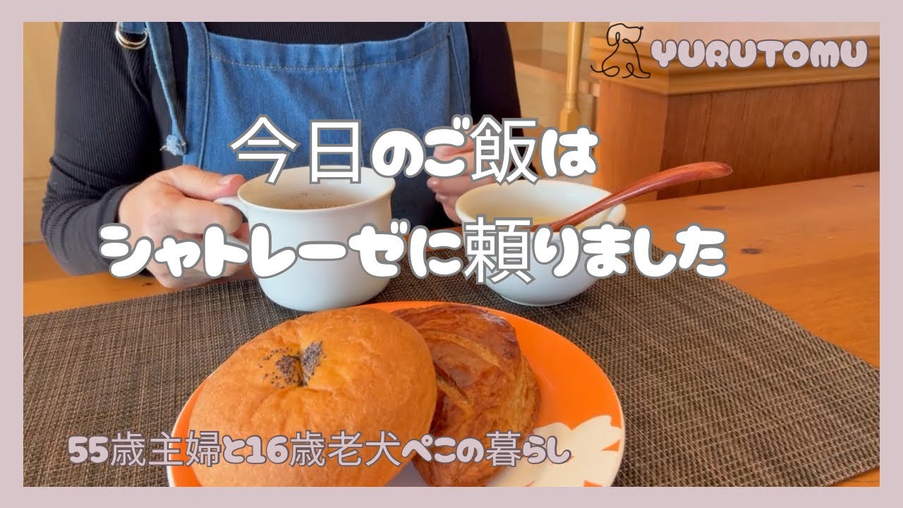 【55歳主婦と老犬の暮らし】シャトレーゼでご飯｜16歳トイプードルのお世話｜特別なことはない一日