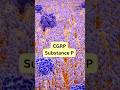 CRGP &amp; Substance P #pharmacology #pharmacy #tamilshorts