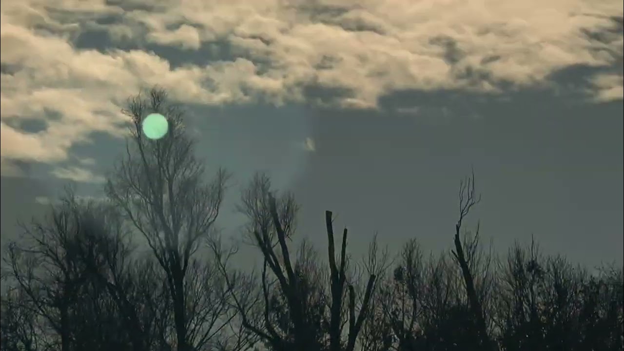 Nature details🏞️