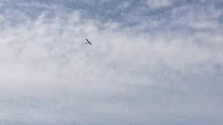 Rhönlerche Ii Verliest Canopy Tijdens Sleep