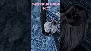 Selandrina  Mom Spider is Dead 😃😃 Luna bala song #shorts #ytshorts #funny #horror #stromerider
