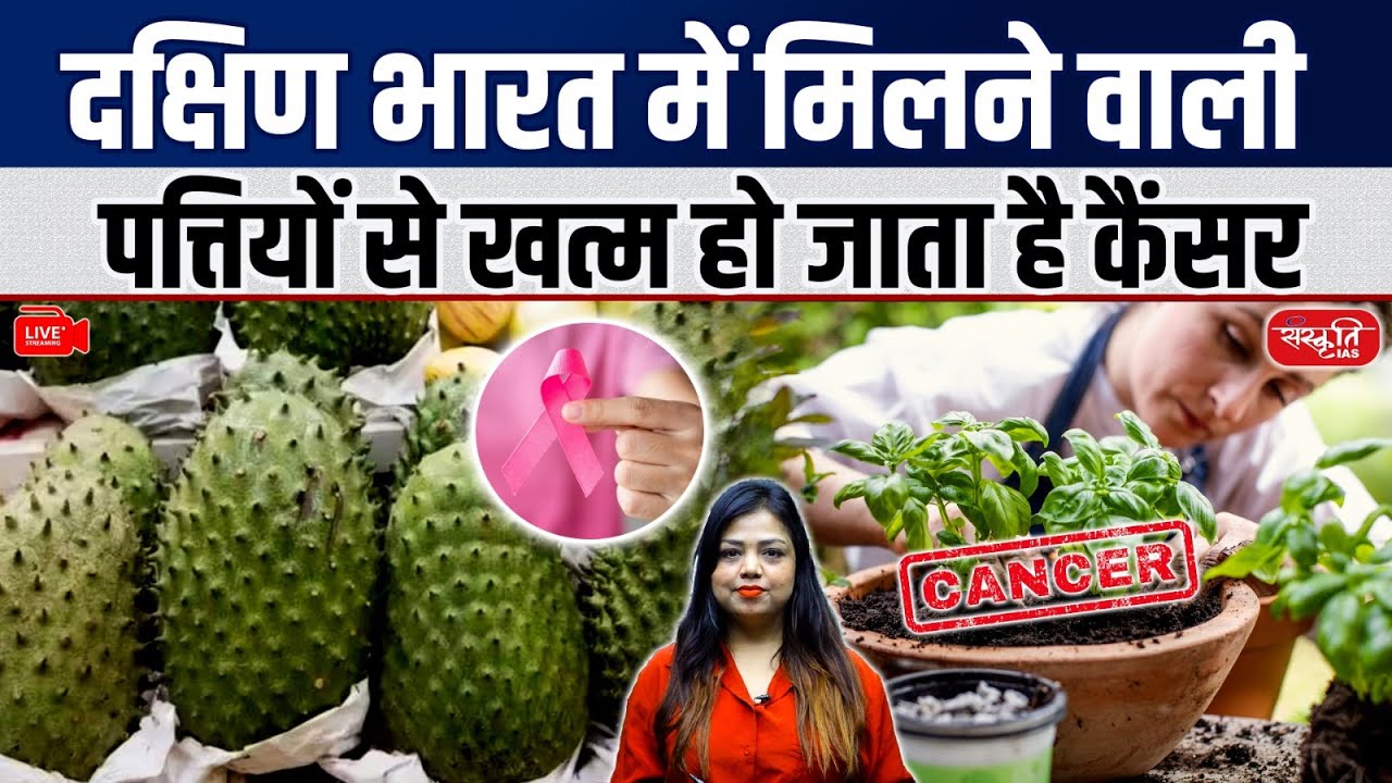 Cancer Cure? | South Indian Leaves Show Hope in Treatment | New Discovery | Sanskriti IAS