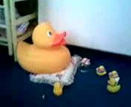 the paul o'grady show rubber duck verison