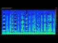 Modern Sonar Sounds and other Sounds of the Sea