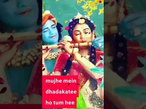 tum-prem-ho-tum-preet-ho-manmeet-ho-radhe-meri-manmeet-ho-whatsapp-status