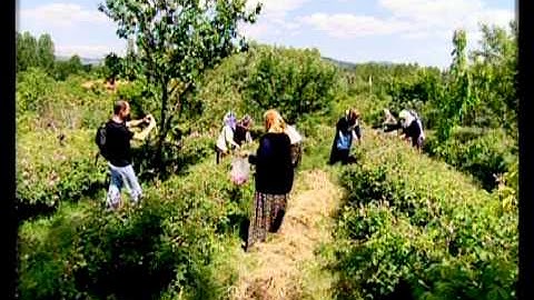 Thumbnail of Sümer Ezgü - Hadi Gali Sen de Gel