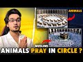 Unbelievable Miracles of Quran Proved By Science | Light of Sun is White or Yellow ?