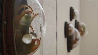 WXXI Arts InFocus - Robin Cass