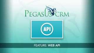 PegasusCRM: Web API Overview