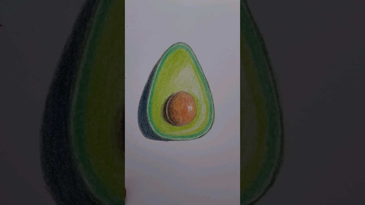 Avocado drawing with colour pencils 