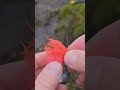 Creating Custom Jig Kits for Fishing Enthusiasts