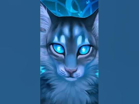 коты воители : Синяя Звезда, Жёлудь, Воробей и Листвичка. - YouTube