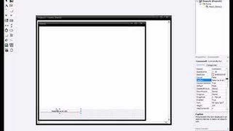 Snowfox Flash Hacking Tutorial 1
