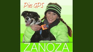Pies GPS