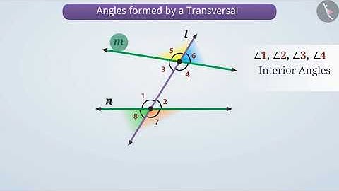 Angles made by a transversal-Part I | Part 1/2 | English | Class 7