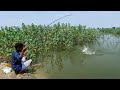 Amazing Big rohu fish catch || Incredible fishing