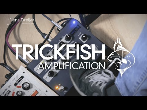 Trickfish Amplification Trilobite Effect Loop and Channel Switching Demo