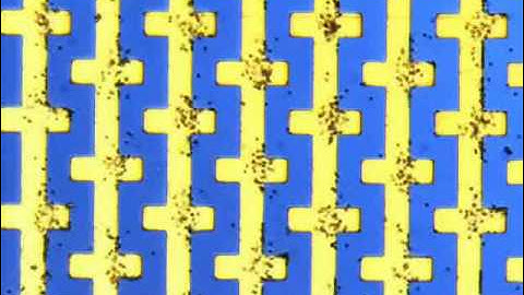 Behavior of particles under non-uniform AC electric fields - castellated labeled sequence