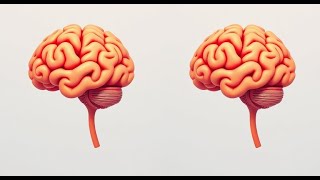 Find 5 Differences game | Spot the Differences game |Find The Difference screenshot 5