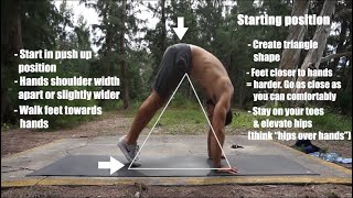 How to Pike Push Up | Beginner (Progressions)