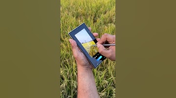 Samsung Galaxy S24 Ultra Sketch To Image With AI #samsung #s24ultra #ai #galaxyai #trending #shorts