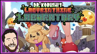 Dr. Kobushi's Labyrinthine Laboratory - The best puzzle game I've played in ages!! screenshot 5
