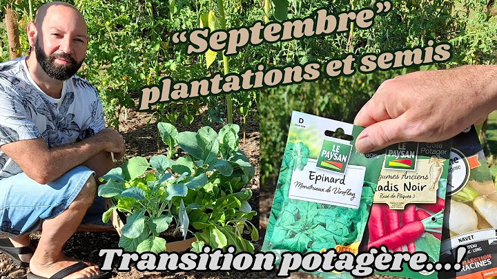 Septembre "Semis et Plantations"#cultures faciles