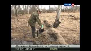 Специальный репортаж Поисковики Специальный репортаж Поисковики