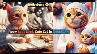 🐈Cute cat in Ramdan 🐱,cute cat in ramzan🐈#viral #cat #cute #funny #ramadan #trending #kitty