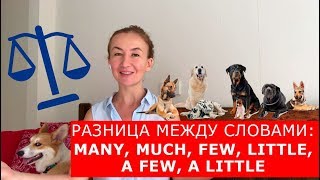 Разница между словами: many, much, few, little, a few, a little. Английский для путешествий Разница между словами: many, much, few, little, a few, a little. Английский для путешествий