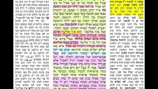 דף יומי מסכת סוכה דף כז Daf yomi Succa 27 שמואל נבון