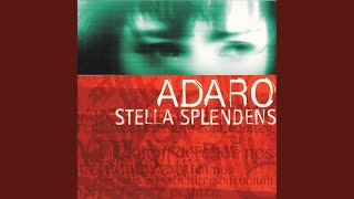 Stella Splendens