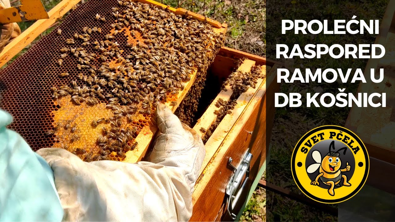 Prolećni raspored ramova u DB košnici - Pčelarstvo 2022