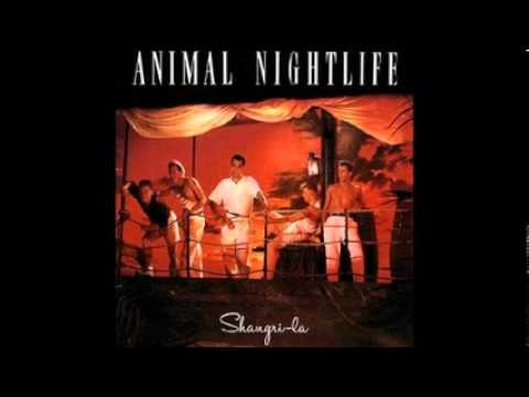 Animal Nightlife - Perfect Match