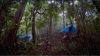 ฝนถล่มหนัก ตั้งแค้มป์ฉุกเฉิน นอนข้างต้นไม้ใหญ่ เดินป่าลึกกับพี่เขยในรอบ1ปี โหดสุดๆ