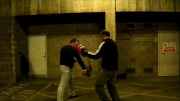 Xing Yi Quan - Tiger Palm Strike / Pi Quan [Xingyiquan / Hsing I Chuan]