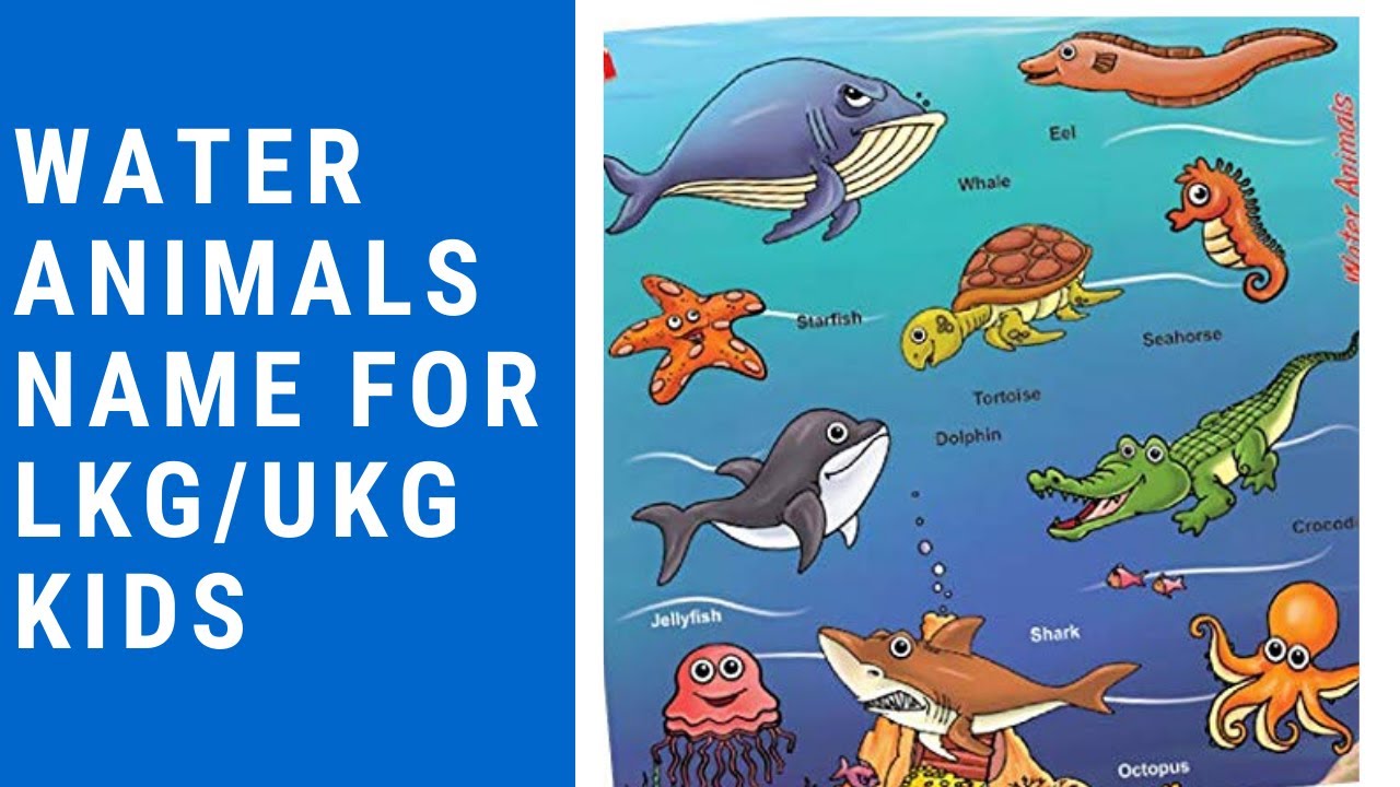 Water animal for LKG/ UKG kids#wateranimals#lkgkids#marineanimals - YouTube